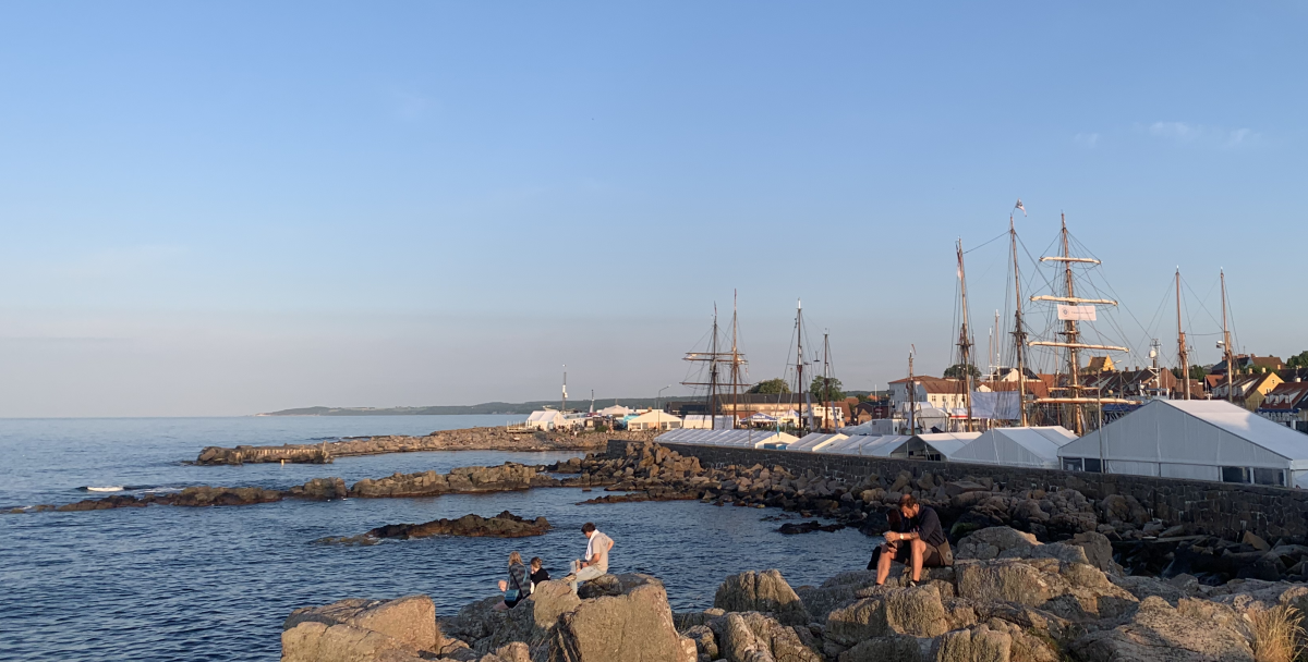 Folkemødeanalyse 2024: AI og nationalt beredskab optager flere