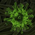 Virus closeup