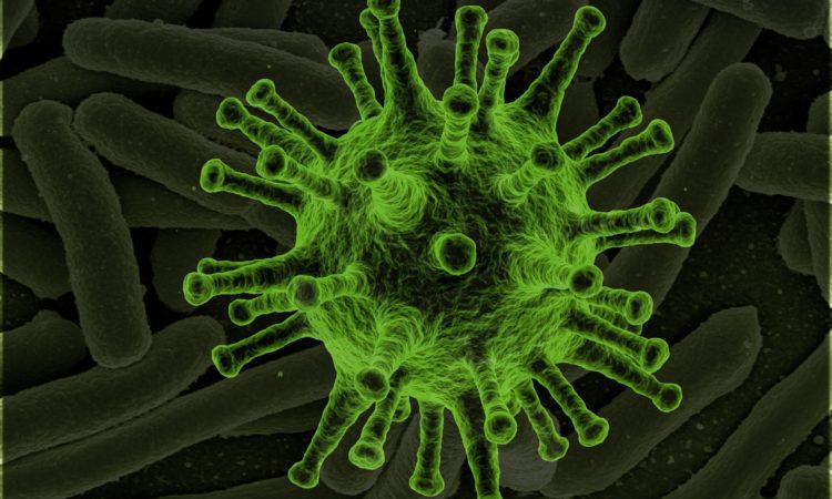 Virus closeup